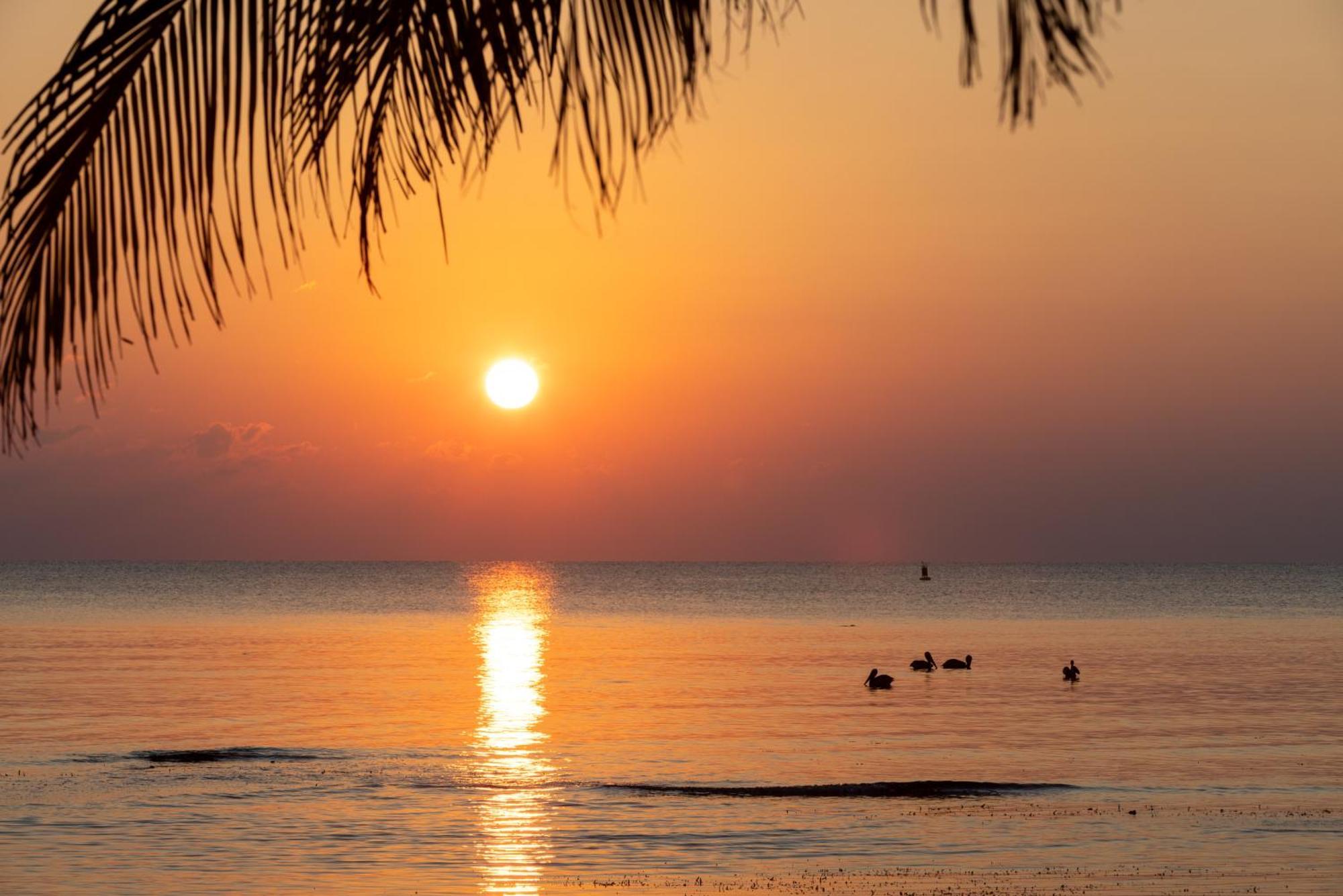 Blue Marlin Beach Resort Дангрига Экстерьер фото