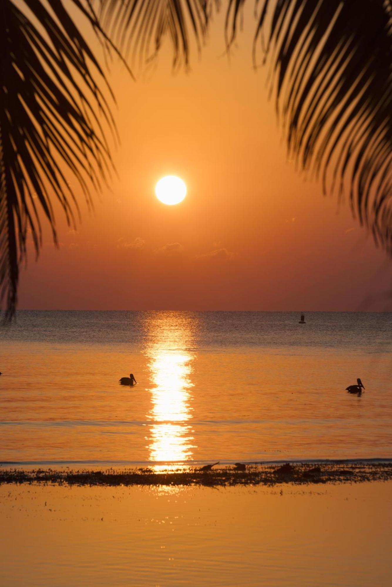 Blue Marlin Beach Resort Дангрига Экстерьер фото