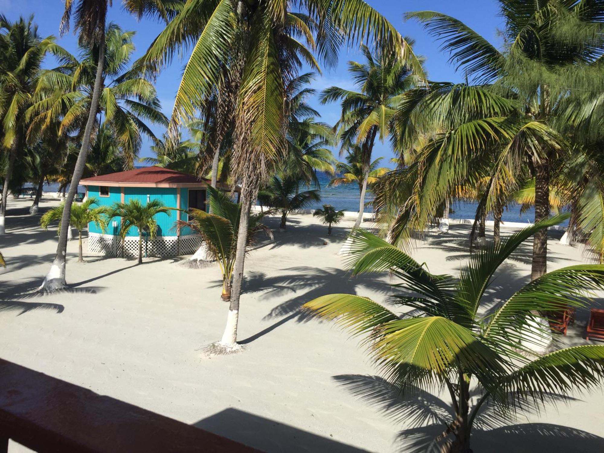 Blue Marlin Beach Resort Дангрига Экстерьер фото