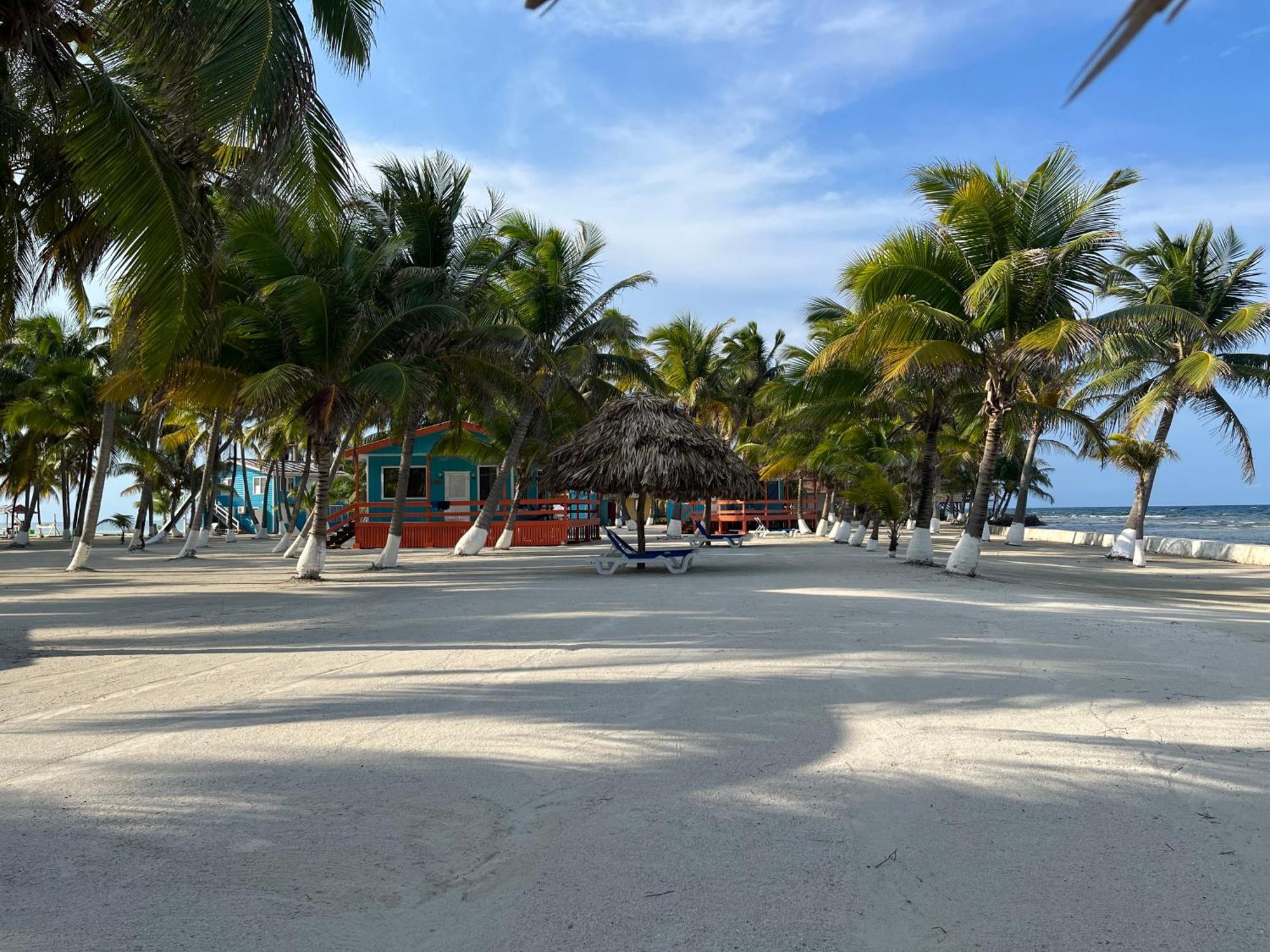 Blue Marlin Beach Resort Дангрига Экстерьер фото